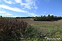 VBS_5265 - La solita strada... il grano da crescere, i campi da arare...